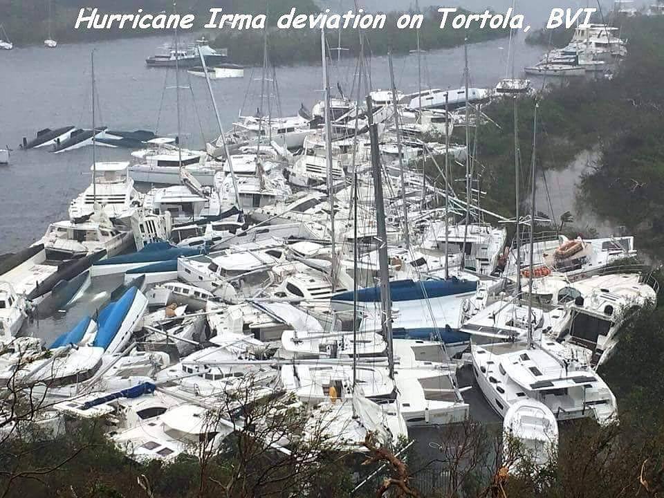 Obrázek -Irma-
