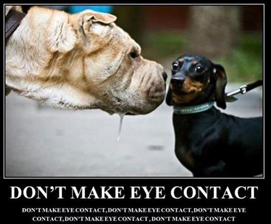 Obrázek -No Eye Contact-      19.09.2012