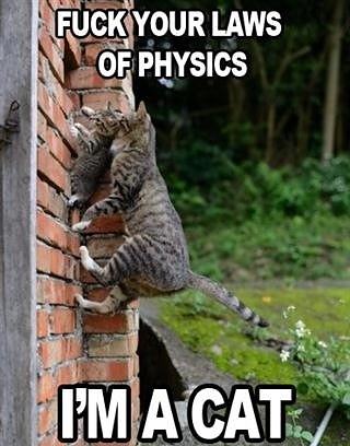 Obrázek -Physics-      22.08.2012