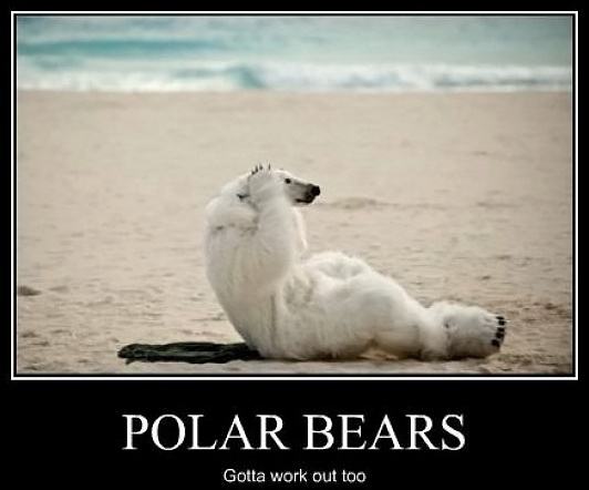 Obrázek -Polar bears-      07.12.2012