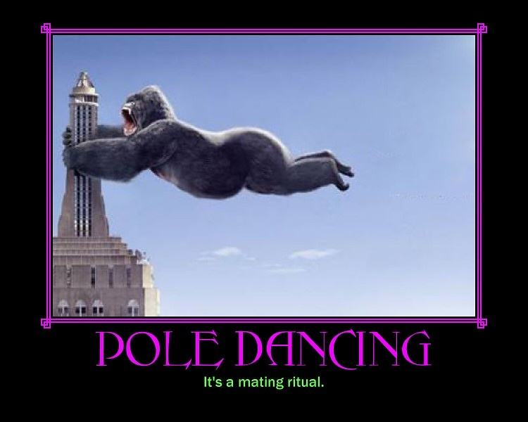 Obrázek -Pole dancing-      01.10.2012