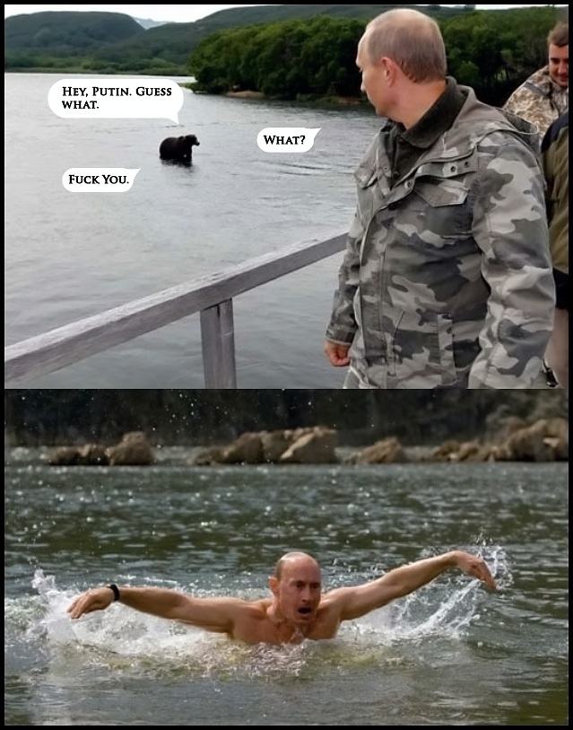 Obrázek -Putin Vs Bear-      14.12.2012