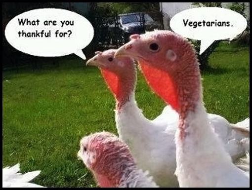 Obrázek -Thankful turkeys-      23.11.2012