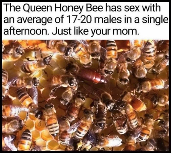 Obrázek -The Queen Bee-