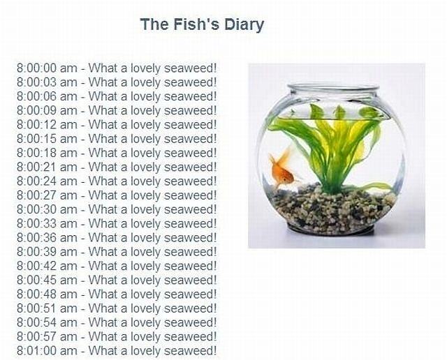 Obrázek -The fishs diary-