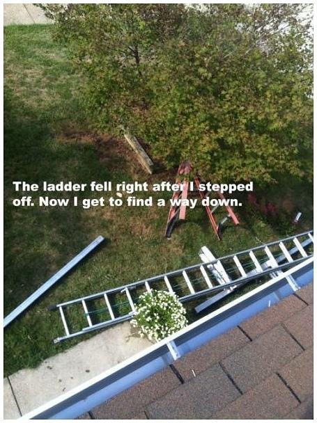 Obrázek -The ladder-      03.10.2012