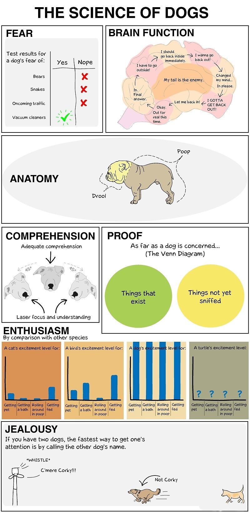 Obrázek -The science of dogs-      25.10.2012