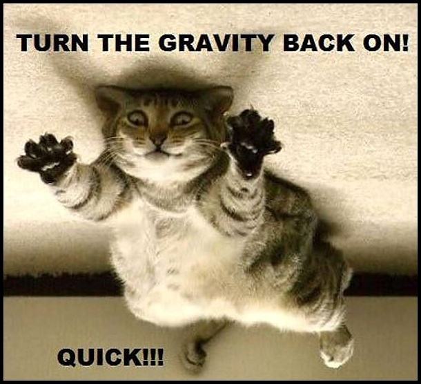 Obrázek -Turn the gravity-      29.10.2012