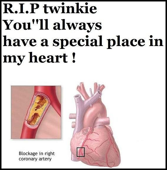 Obrázek -Twinkies nooo-      21.11.2012