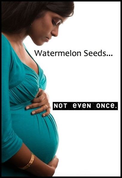 Obrázek -Watermelon-      27.08.2012