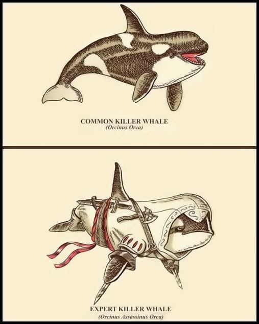 Obrázek -Whale-      01.12.2012