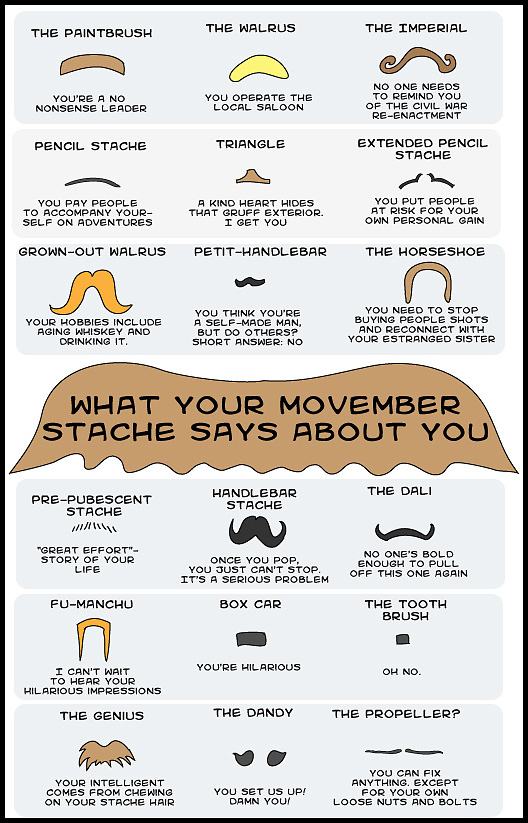 Obrázek -What your mustache says about you-      05.11.2012