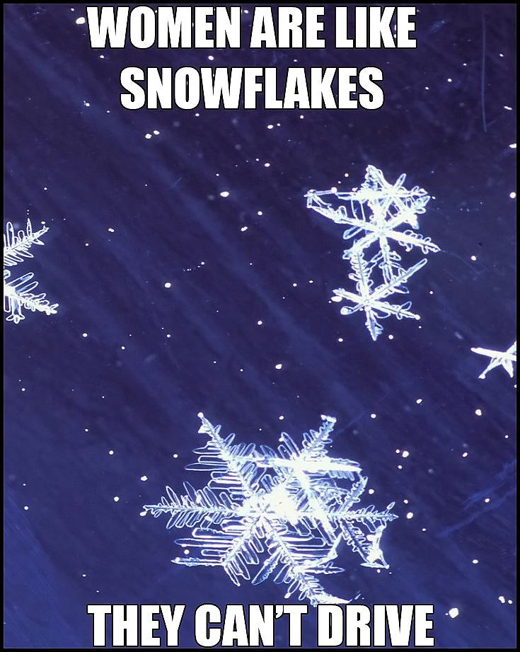 Obrázek -Women are like snowflakes-      04.12.2012