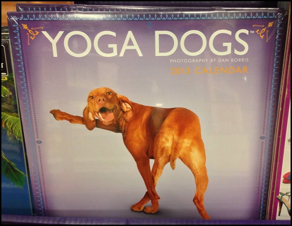Obrázek -Yoga dogs-      19.10.2012