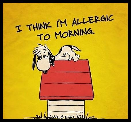 Obrázek - Allergic to morning -      08.03.2013
