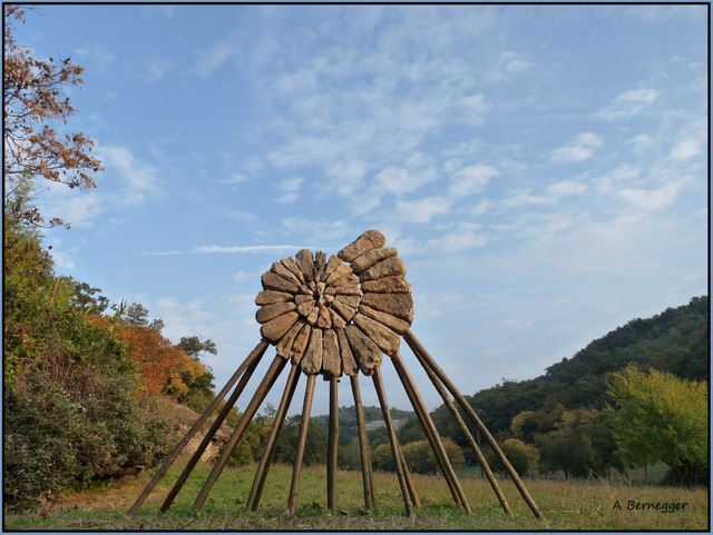 Obrázek - Ammonite -