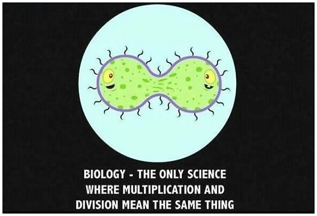 Obrázek - Biology -      14.01.2013