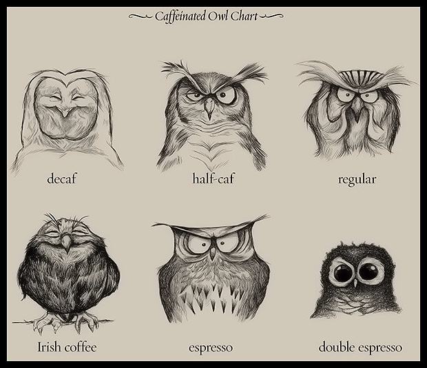 Obrázek - Caffeinated owl chart -      29.04.2013