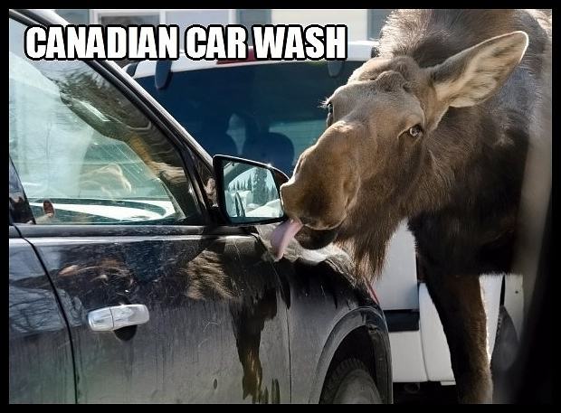 Obrázek - Canadian car wash -      02.04.2013
