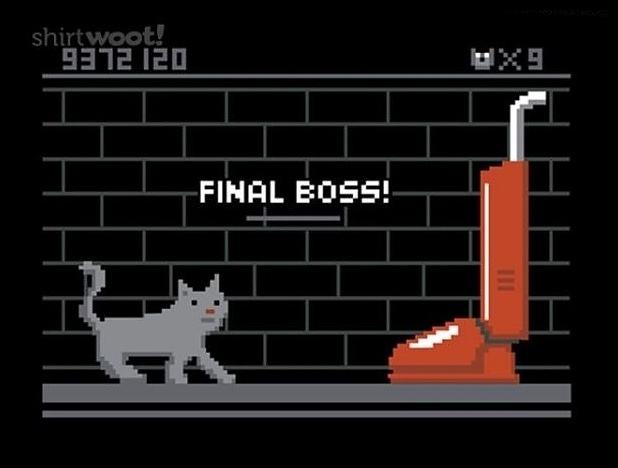 Obrázek - Cats Final Boss -      11.07.2013