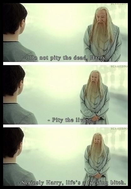 Obrázek - Dumbledore the wise -      03.04.2013