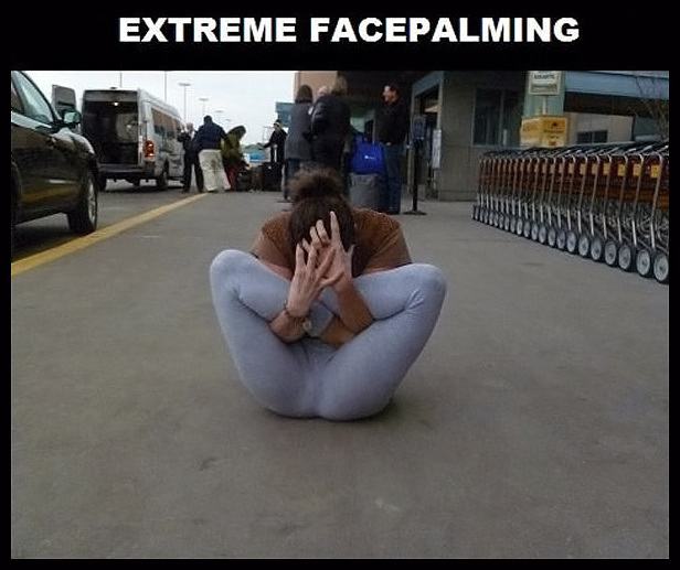 Obrázek - Facepalming -      23.05.2013