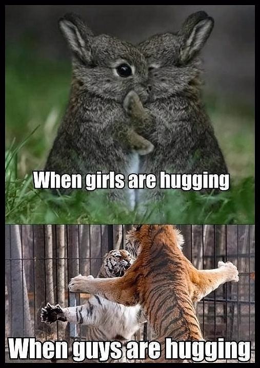 Obrázek - Girls is hug VS boys is hug -      21.05.2013