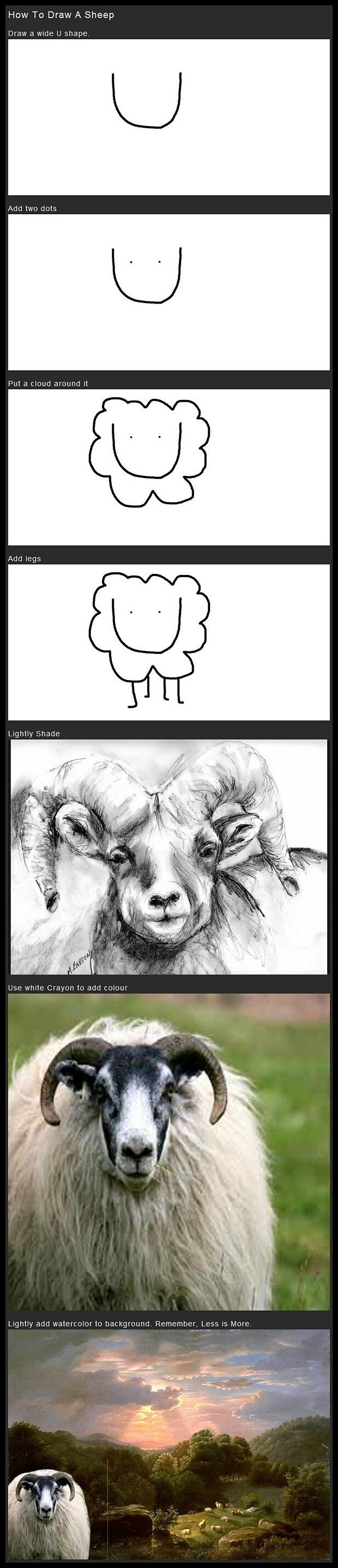Obrázek - How to draw a sheep -      22.07.2013