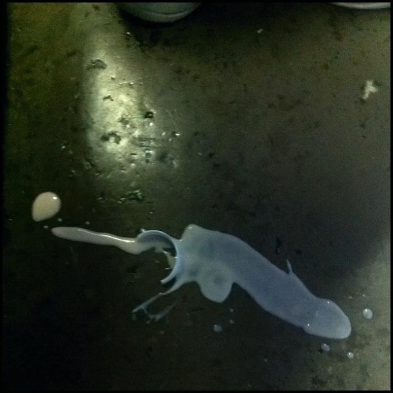 Obrázek - I dropped my yogurt and it made a weird shape -      13.01.2013