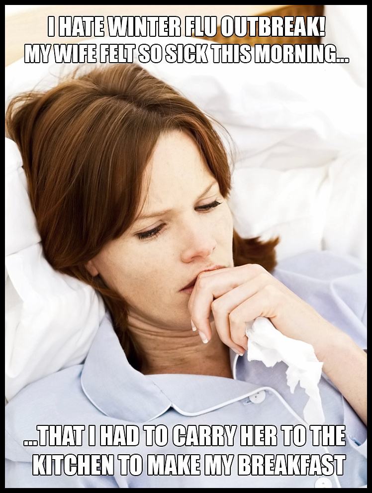Obrázek - I hate Winter flu outbreak -      18.02.2013