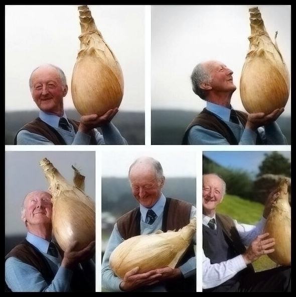 Obrázek - I wish onions made me this happy -      14.06.2013