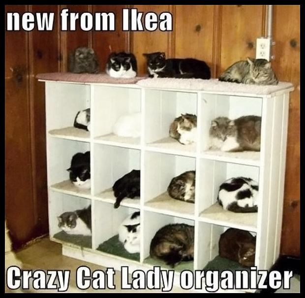Obrázek - Ikea -      22.03.2013