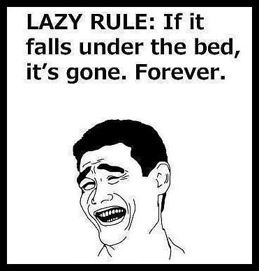 Obrázek - Lazy rule -      06.03.2013