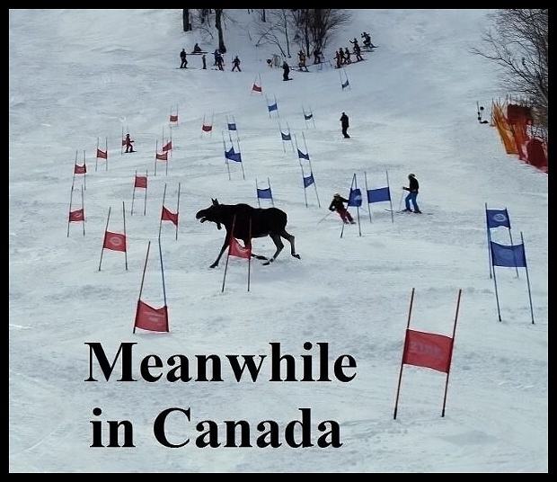 Obrázek - Meanwhile in Canada -      22.03.2013