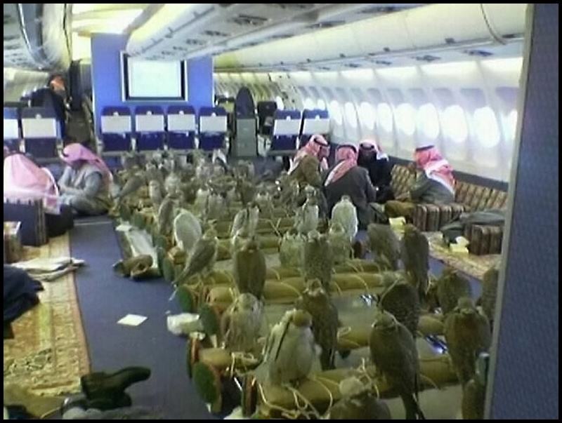 Obrázek - Meanwhile in Katar airplane -      02.02.2013