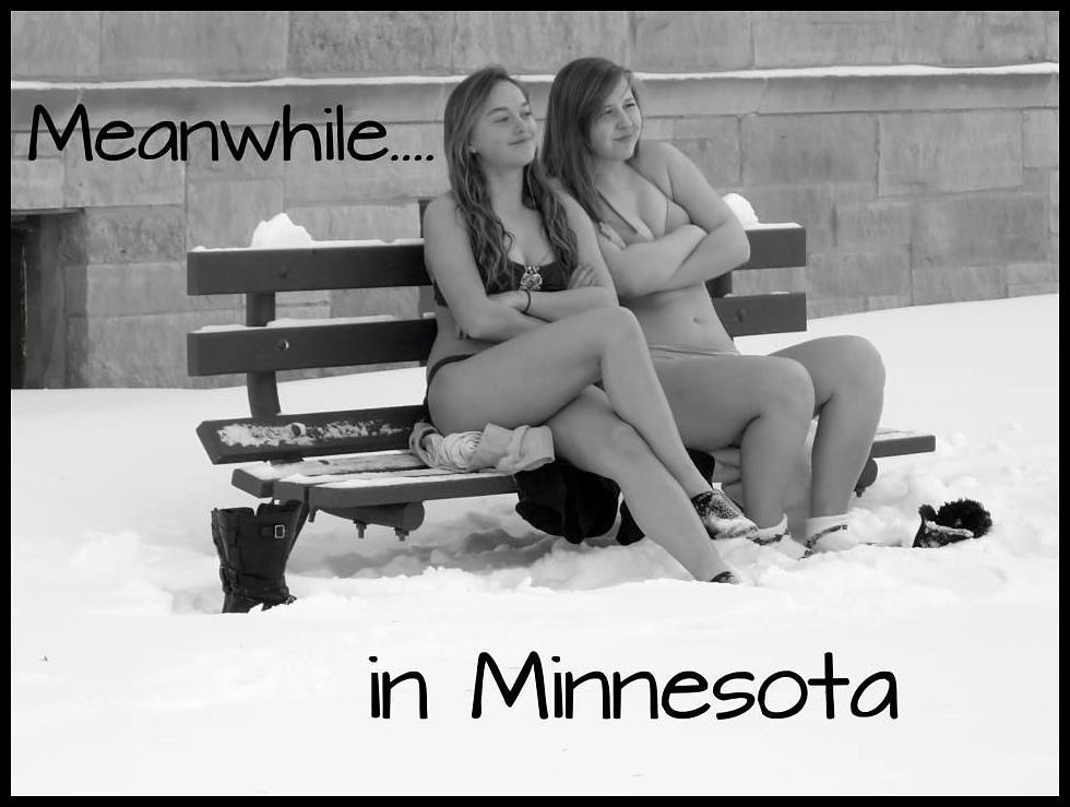 Obrázek - Meanwhile in Minnesota -      08.02.2013