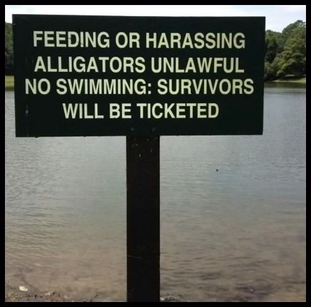 Obrázek - No Swimming With Alligators -      12.06.2013