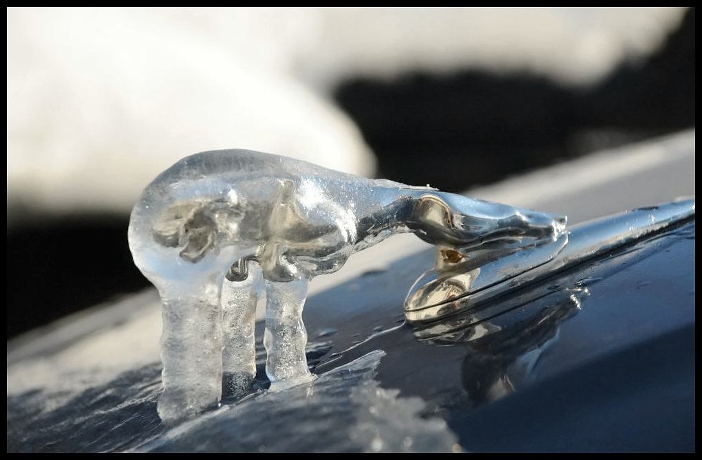 Obrázek - Oh Ice -      26.03.2013