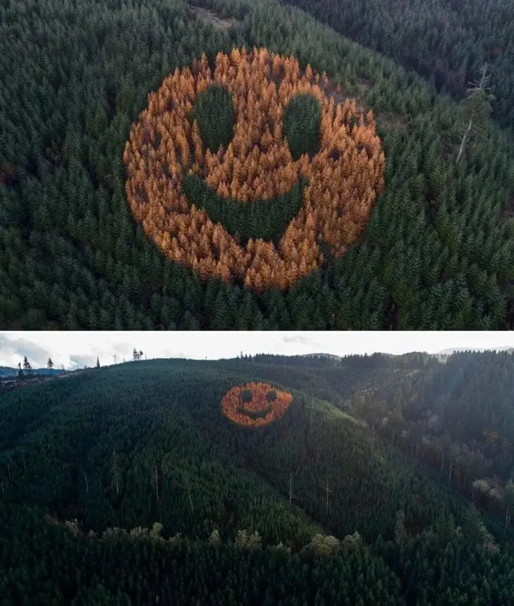 Obrázek -&nbsp;Oregon&nbsp;smiley&nbsp;-