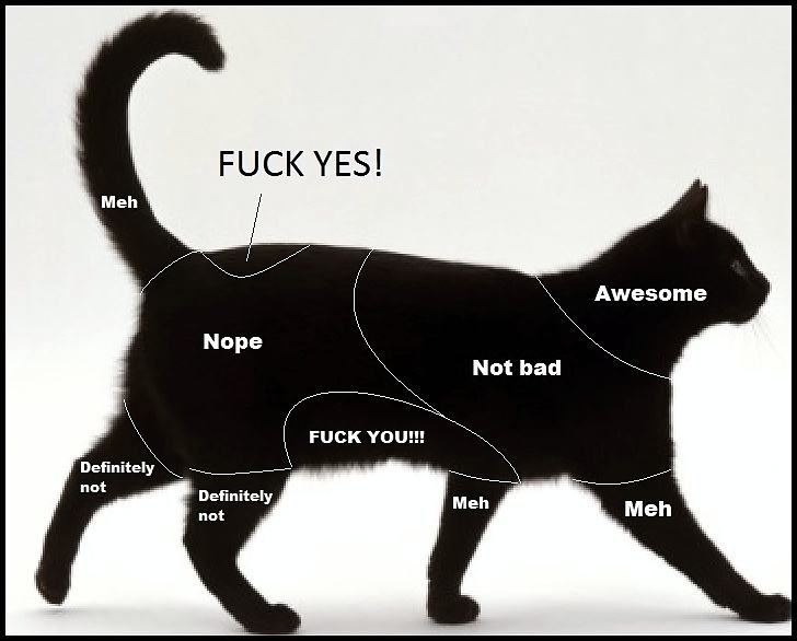 Obrázek - Petting chart for cats -      19.01.2013