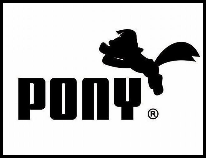 Obrázek - Pony -      19.02.2013