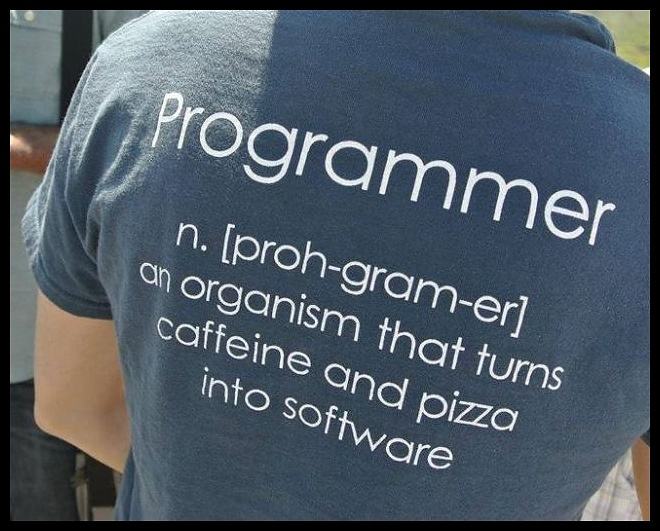 Obrázek - Programmer -      02.07.2013