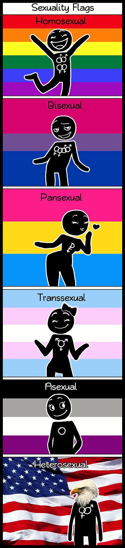Obrázek - Sexuality flags -      19.03.2013
