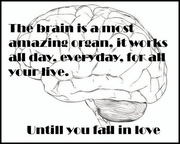 Obrázek - The Brain -      22.12.2012