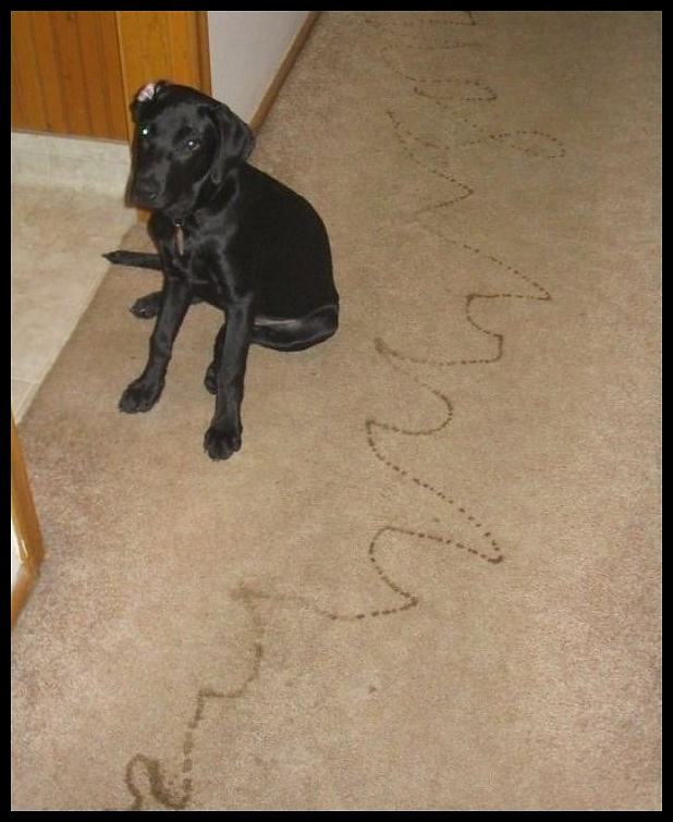 Obrázek - Tried Writing My Name -      30.06.2013