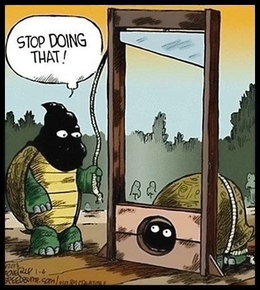 Obrázek - Turtle guillotine problem -      11.07.2013
