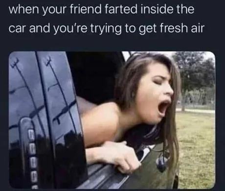 Obrázek - When-your-friend-farted-inside-the-car. -