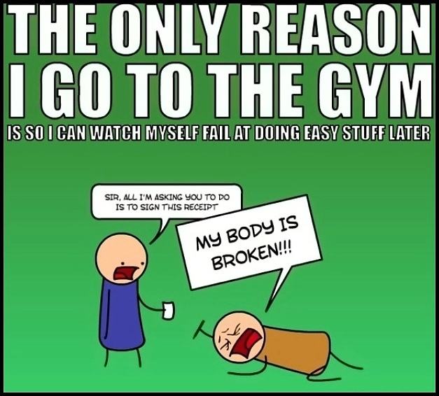 Obrázek - Why I go to the gym -      13.01.2013