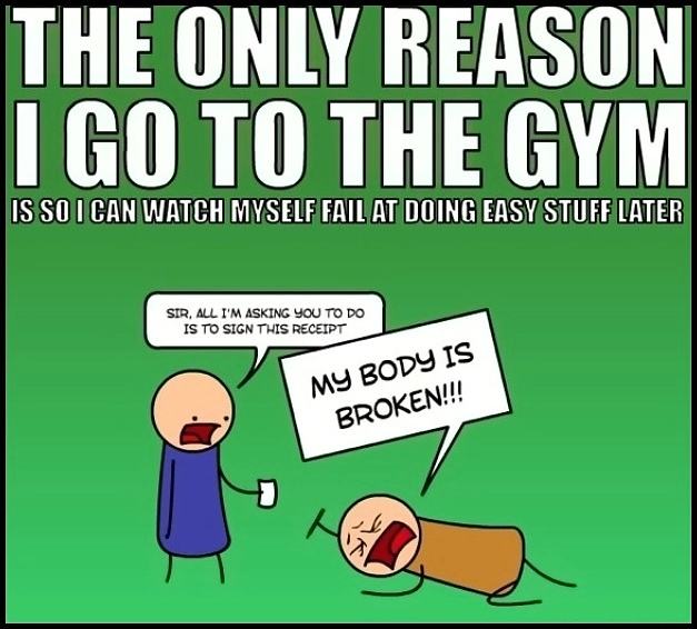 Obrázek - Why I go to the gym -      13.01.2013