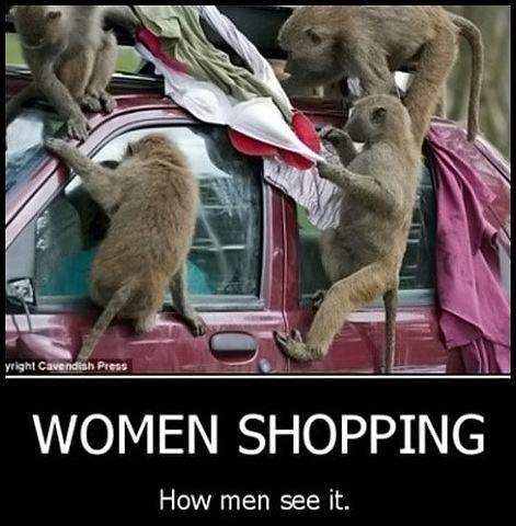 Obrázek - Women shopping -      11.01.2013
